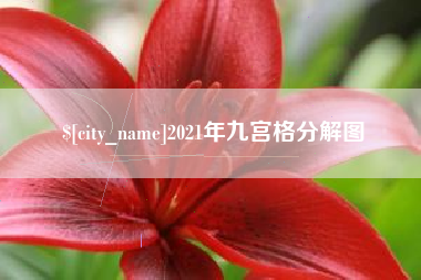沈丘2021年九宫格分解图
