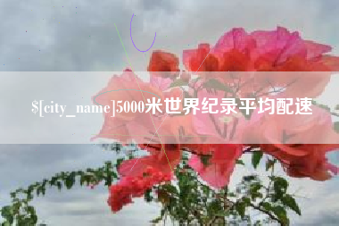 沈丘5000米世界纪录平均配速