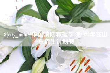 沈丘中国消防救援学院2020年在山东招生计划表
