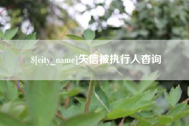 沈丘失信被执行人杳询