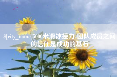 沈丘5000米滑冰接力-团队成员之间的信任是成功的基石