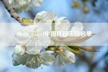 沈丘中国执行失信名单