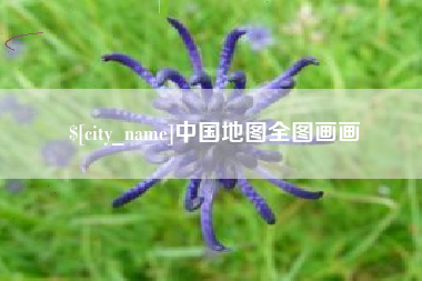 沈丘中国地图全图画画