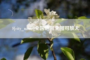 沈丘全国地图全图可放大