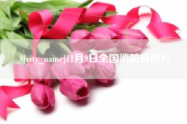 沈丘11月9日全国消防日图片