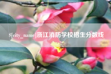 沈丘浙江消防学校招生分数线