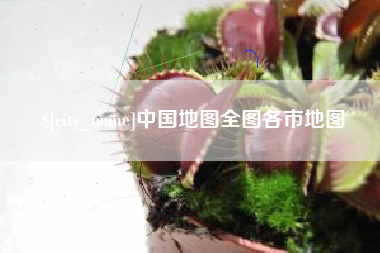 沈丘中国地图全图各市地图