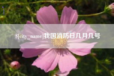 沈丘我国消防日几月几号