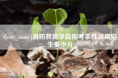 沈丘消防救援学院报考条件湖南招生多少分