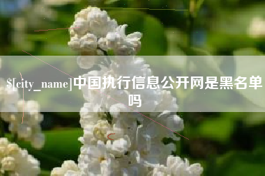沈丘中国执行信息公开网是黑名单吗
