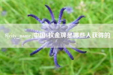 沈丘中国6枚金牌是哪些人获得的