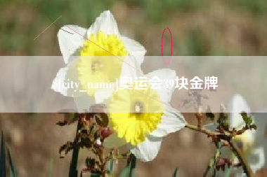 沈丘奥运会39块金牌