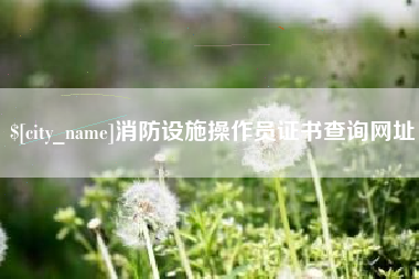 沈丘消防设施操作员证书查询网址