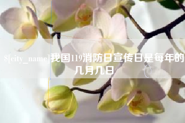 沈丘我国119消防日宣传日是每年的几月几日