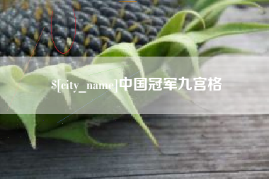 沈丘中国冠军九宫格