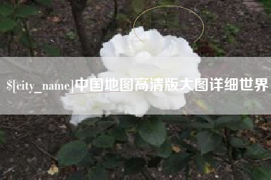 沈丘中国地图高清版大图详细世界