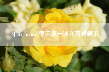 沈丘奥运第一波九宫格解说