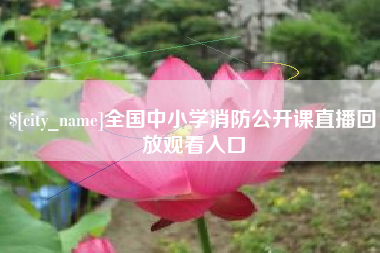 沈丘全国中小学消防公开课直播回放观看入口