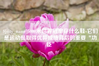 沈丘5000米世界冠军穿什么鞋-它们是运动员取得优异成绩背后的重要“功臣”