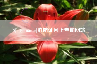 沈丘消防证网上查询网站