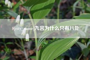 沈丘九宫为什么只有八卦