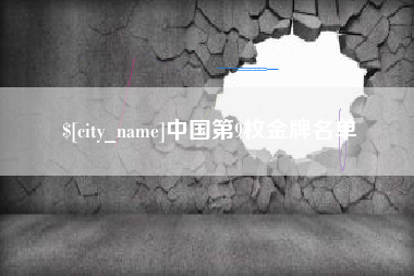 沈丘中国第9枚金牌名单