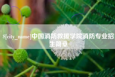 沈丘中国消防救援学院消防专业招生简章