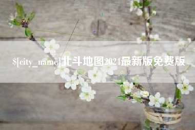 沈丘北斗地图2024最新版免费版