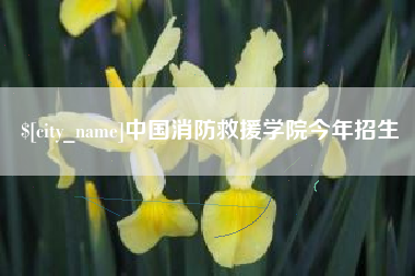 沈丘中国消防救援学院今年招生