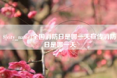 沈丘全国消防日是哪一天宣传消防日是哪一天