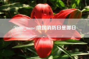 沈丘我国消防日是哪日