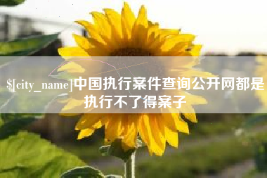 沈丘中国执行案件查询公开网都是执行不了得案子