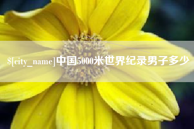 沈丘中国5000米世界纪录男子多少