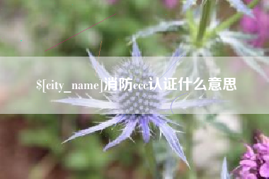 沈丘消防ccc认证什么意思