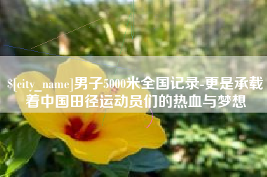 沈丘男子5000米全国记录-更是承载着中国田径运动员们的热血与梦想