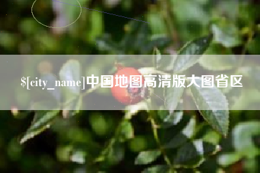 沈丘中国地图高清版大图省区