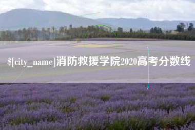 沈丘消防救援学院2020高考分数线