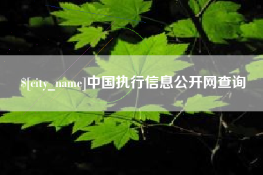 沈丘中国执行信息公开网查询