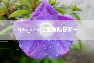 沈丘全国消防日哪一