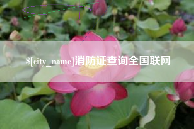 沈丘消防证查询全国联网