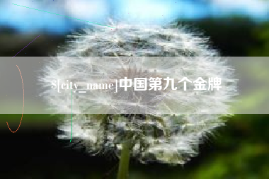 沈丘中国第九个金牌