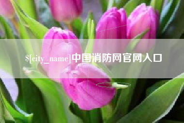 沈丘中国消防网官网入口