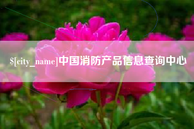 沈丘中国消防产品信息查询中心