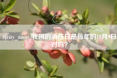 沈丘我国的消防日是每年的11月9日对吗？