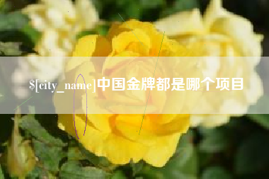沈丘中国金牌都是哪个项目