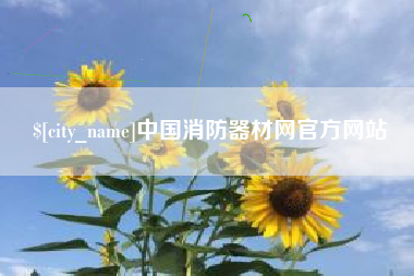 沈丘中国消防器材网官方网站