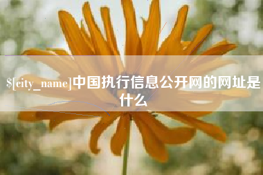 沈丘中国执行信息公开网的网址是什么