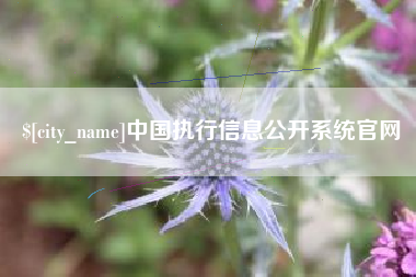 沈丘中国执行信息公开系统官网