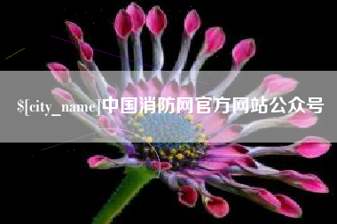 沈丘中国消防网官方网站公众号