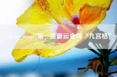 沈丘第一波奥运金牌“九宫格”